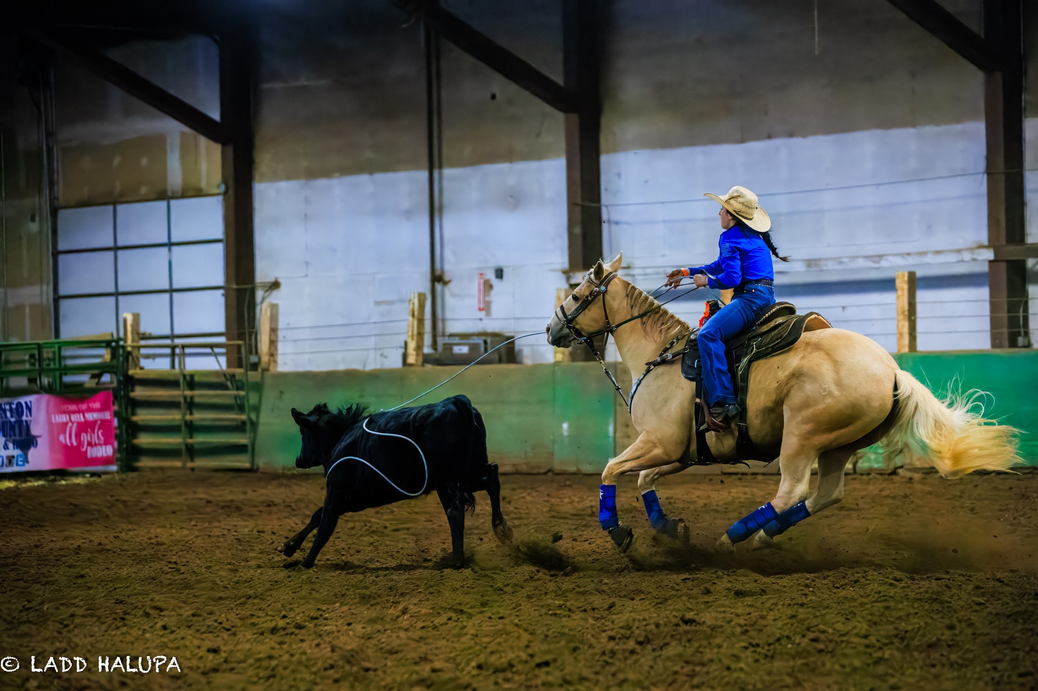 2026 Spring Stampede
