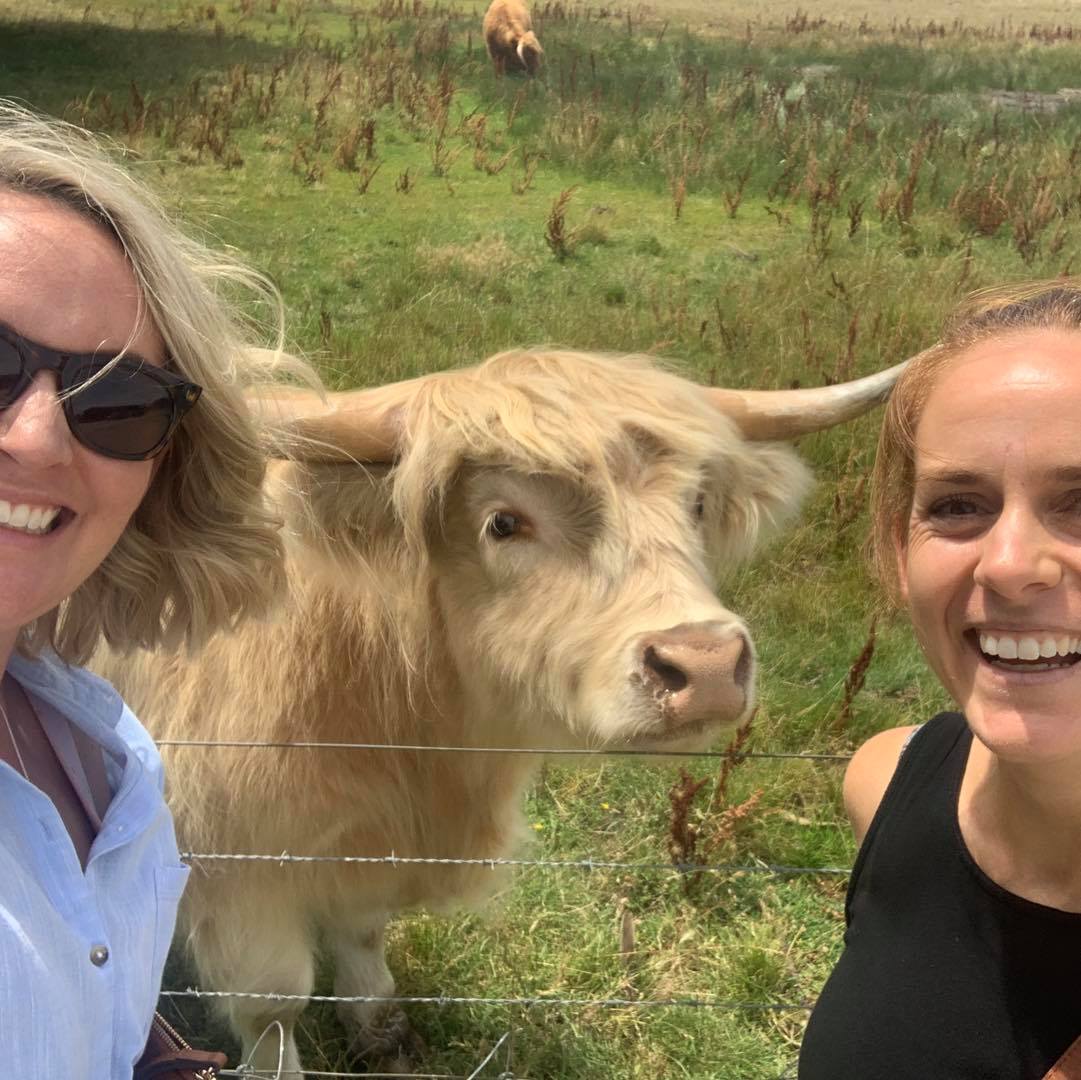 The Right ID - Getting to finish a meeting with a cow... | Facebook
