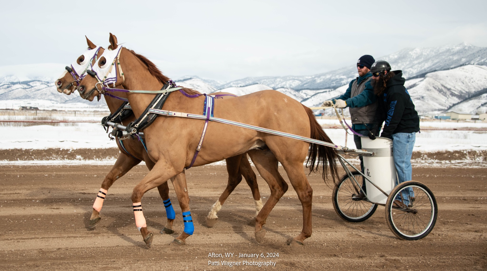 Our second... - All American Cutter/Chariot Races - Afton, WY | Facebook