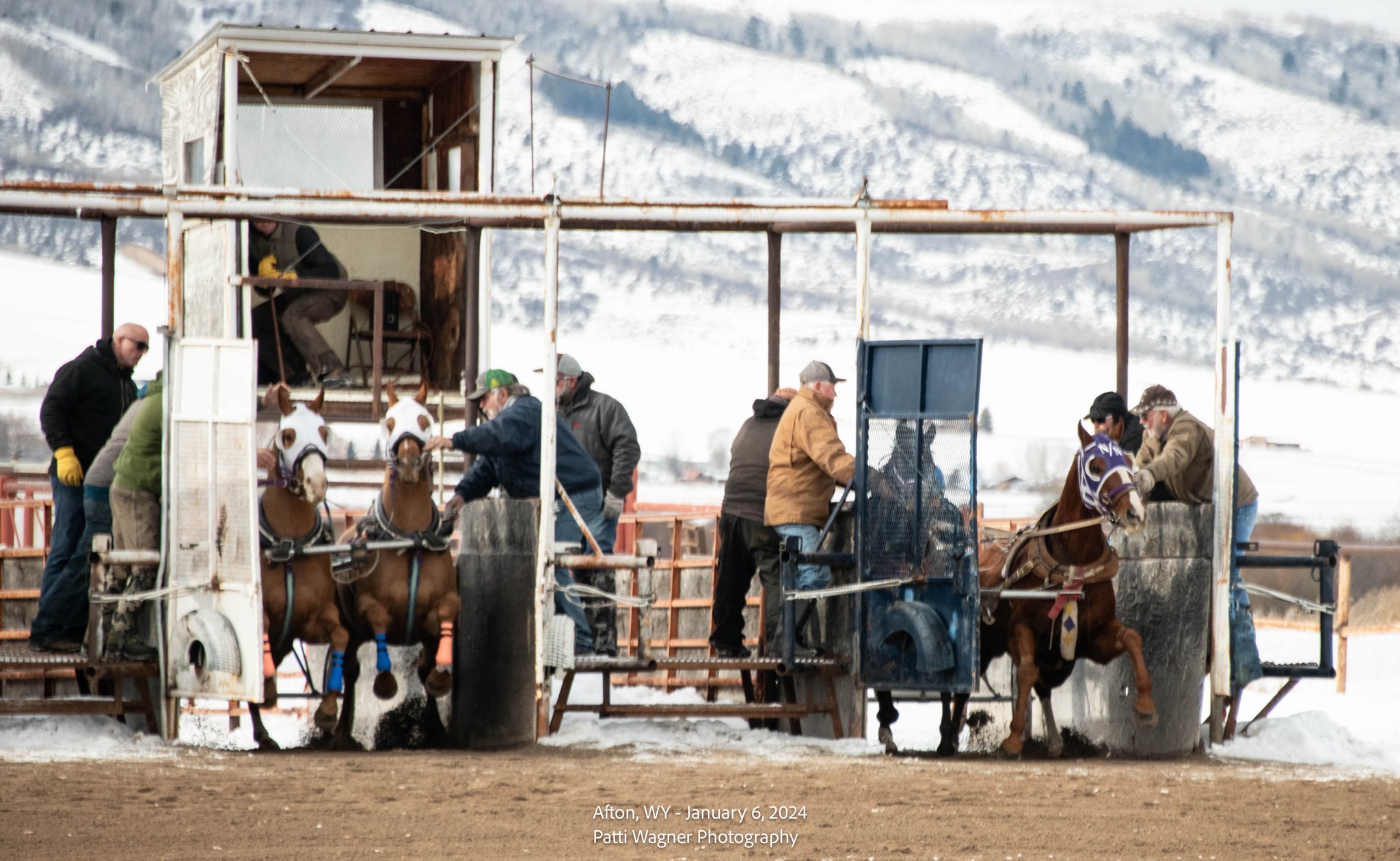 Our second... - All American Cutter/Chariot Races - Afton, WY | Facebook