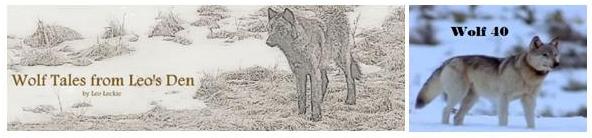 Yellowstone Wolf Family Tree