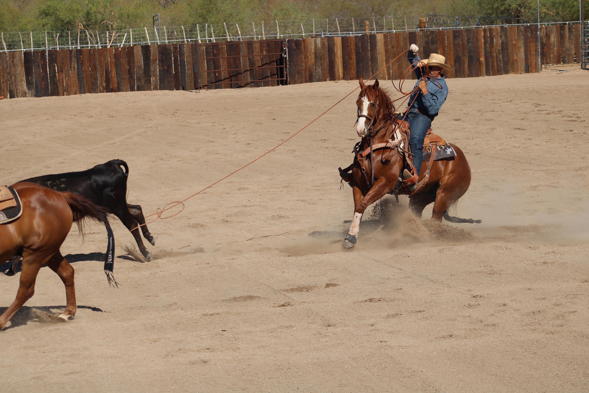 Rocky Mountain Rodeo... - Rocky Mountain Rodeo North LLC