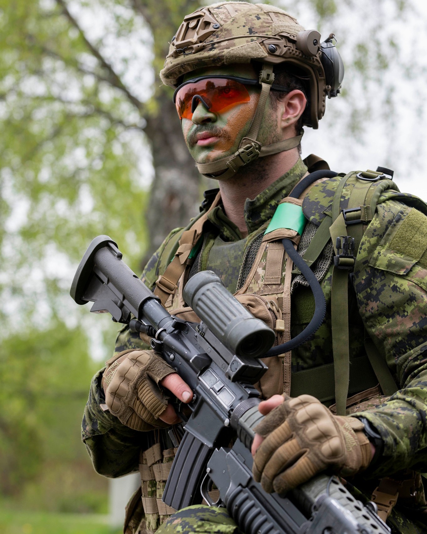 Canadian - An infantry soldier from the 2nd Battalion, The Royal ...