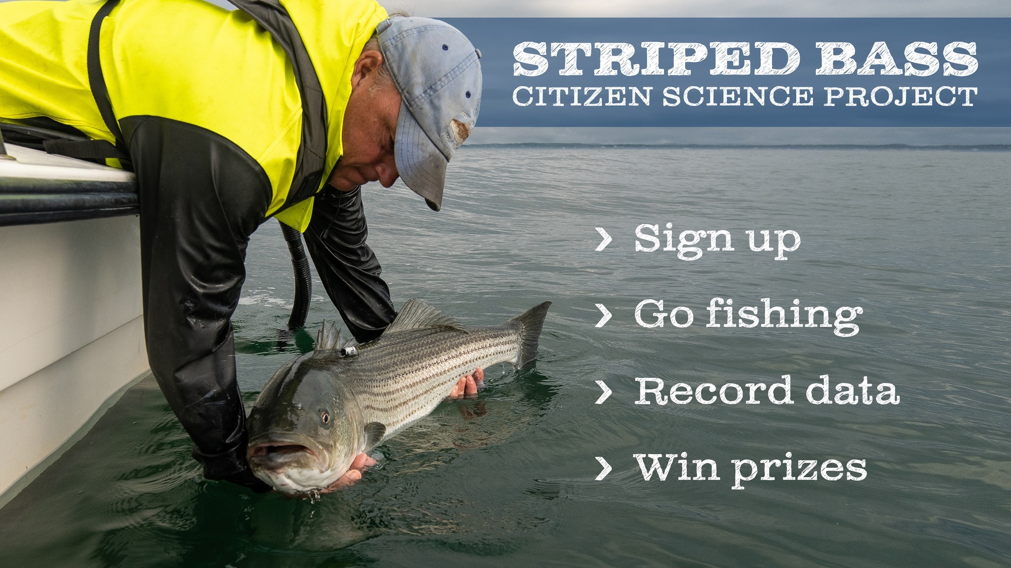 Come join the... - Massachusetts Division of Marine Fisheries | Facebook
