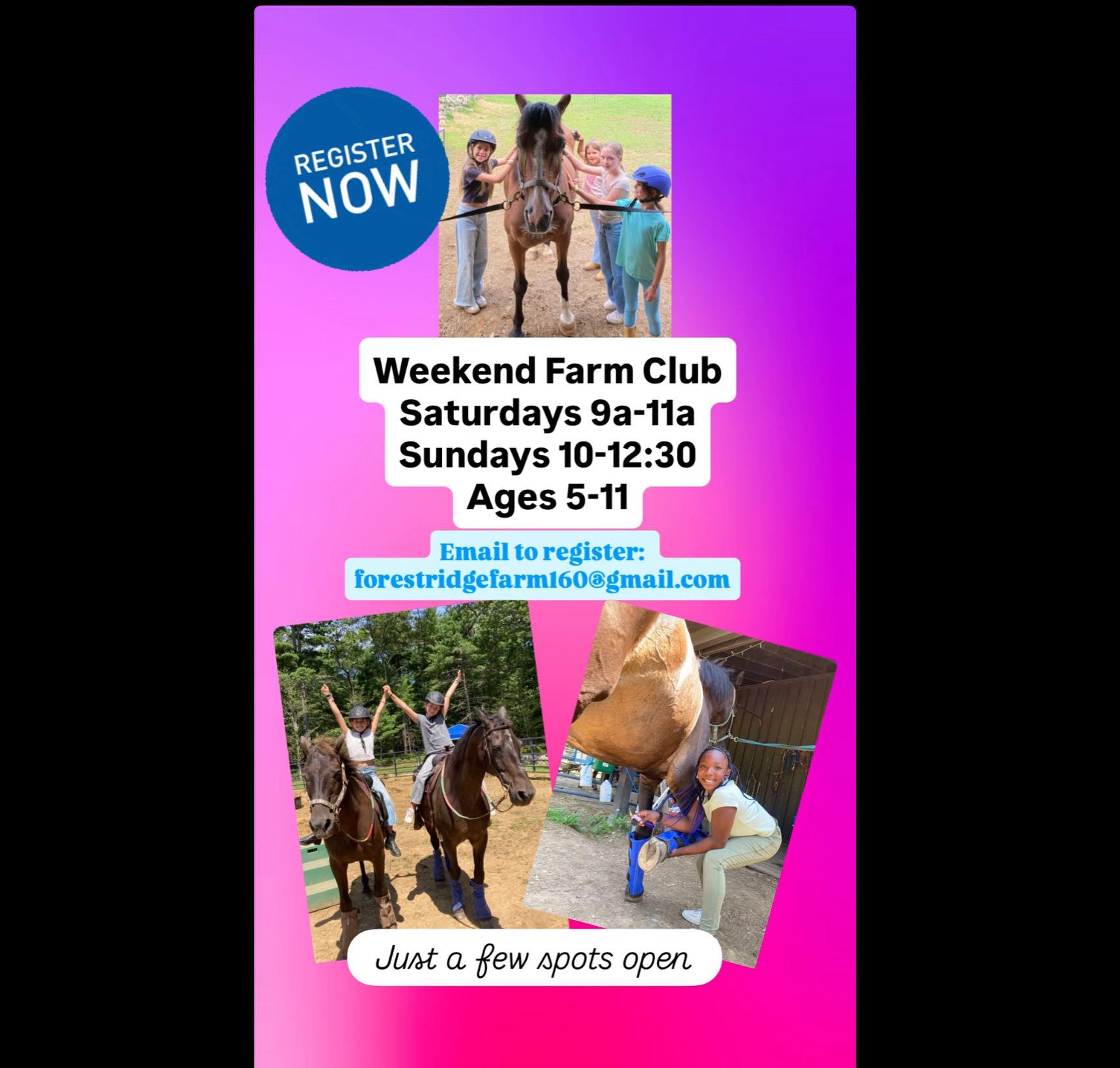Forest Ridge Farm Hingham
