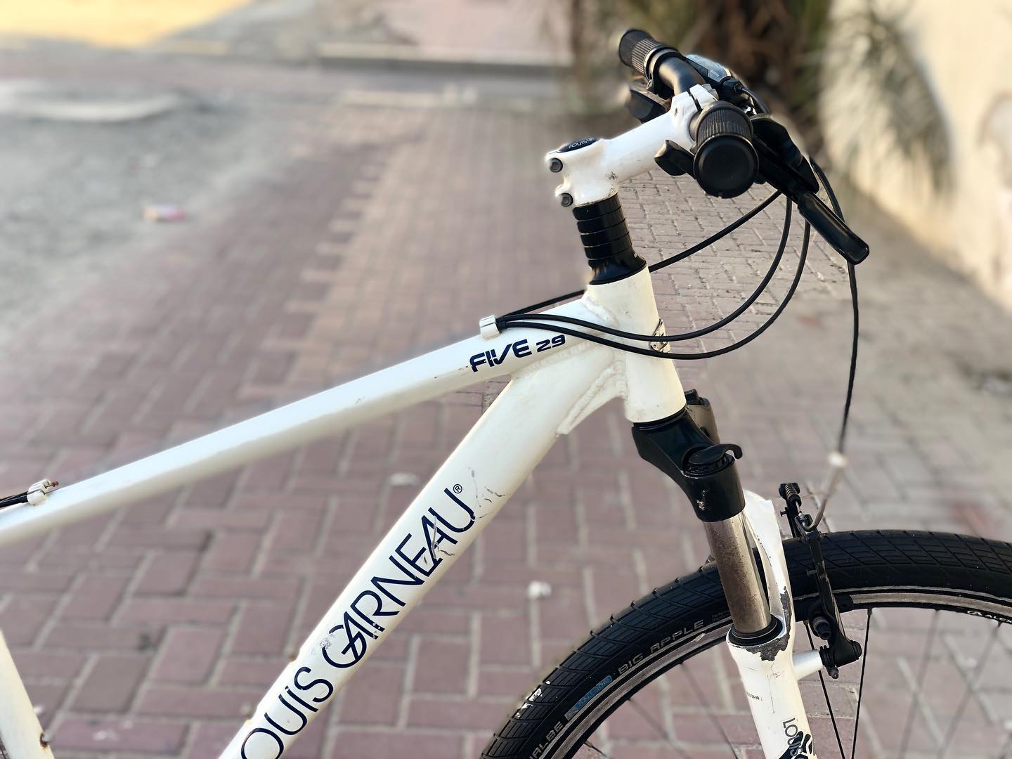 🚴LOUIS GARNEAU FIVE29