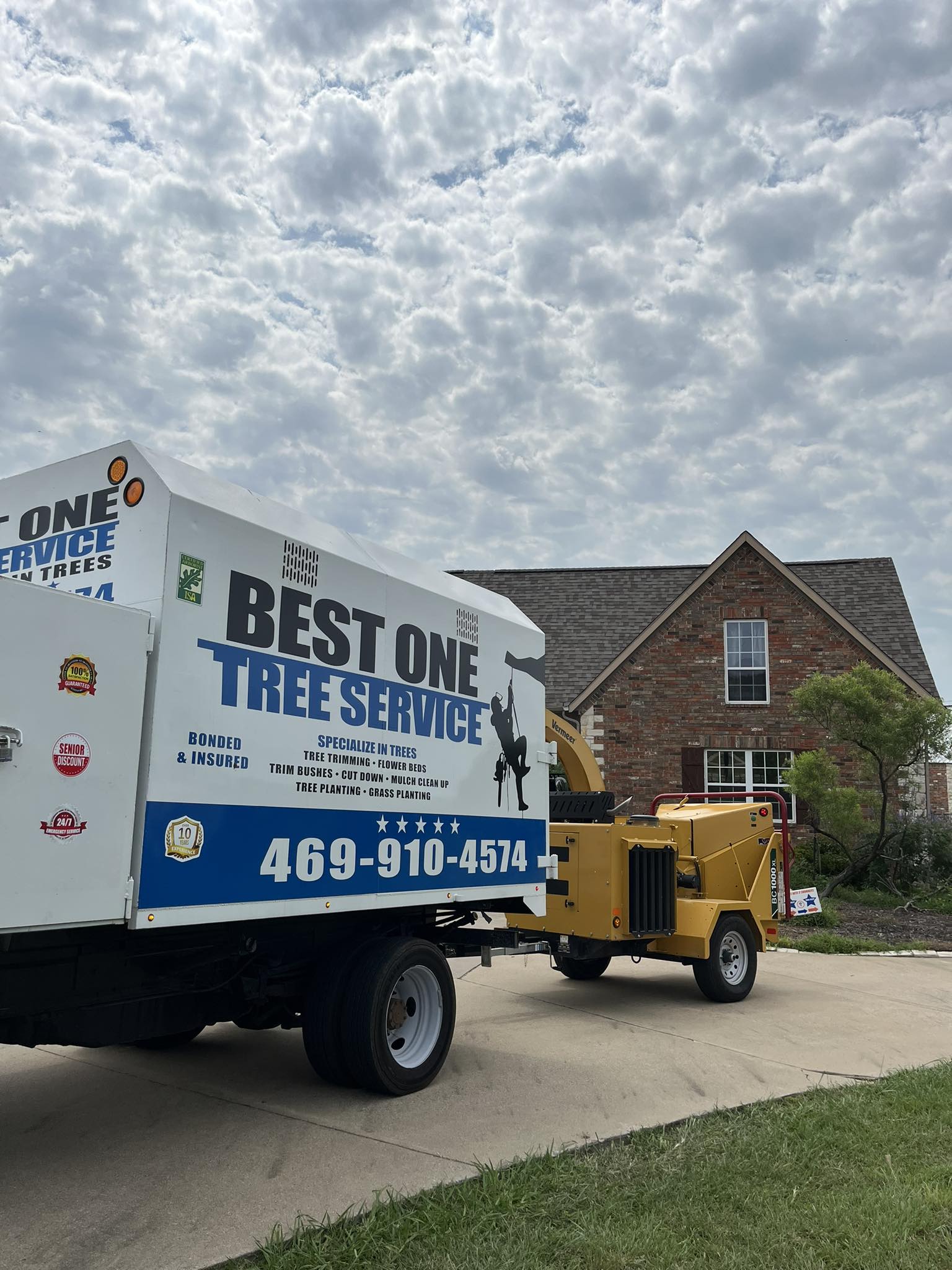 Best one Tree service