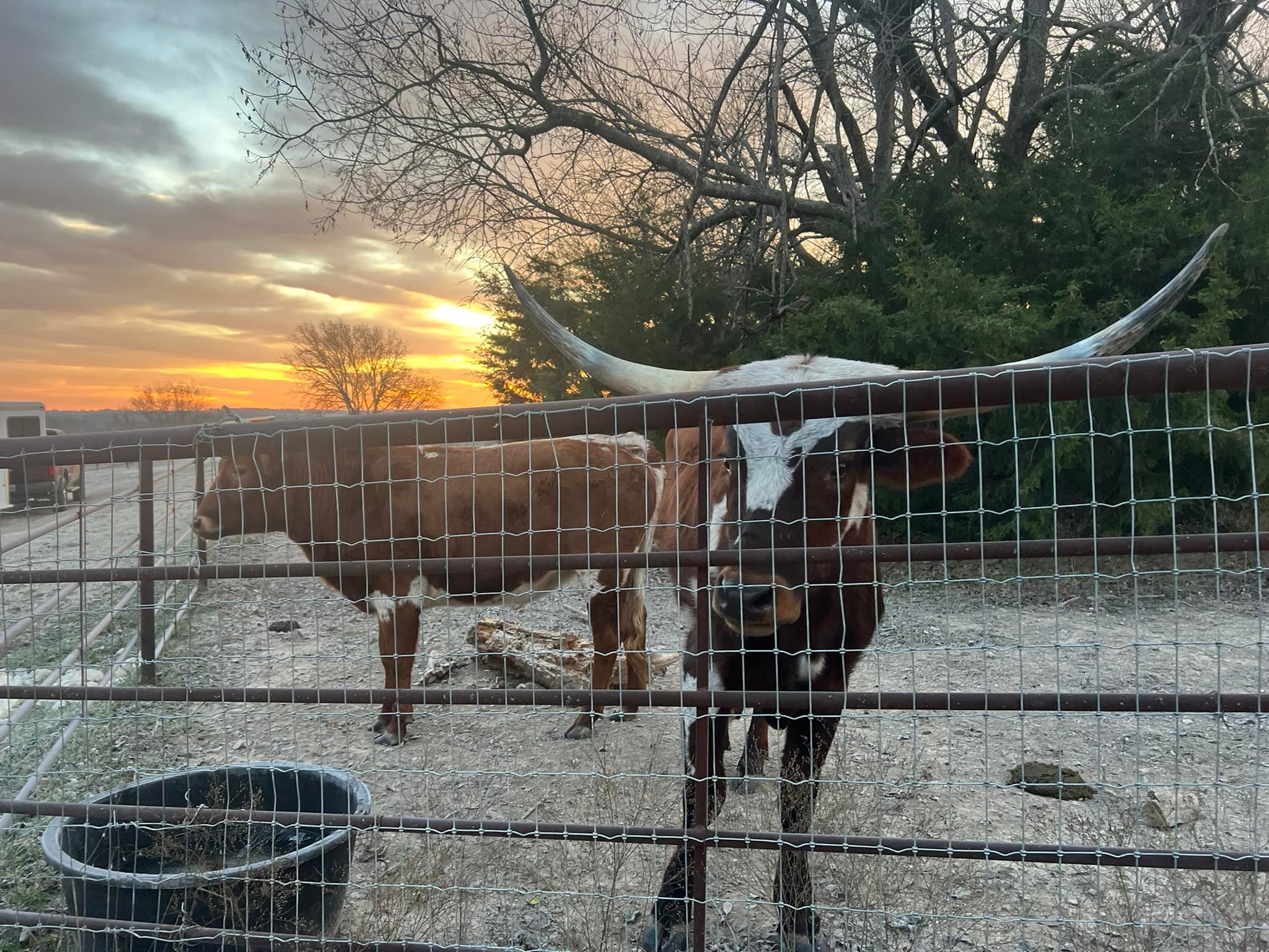 Cross Timbers Ranch