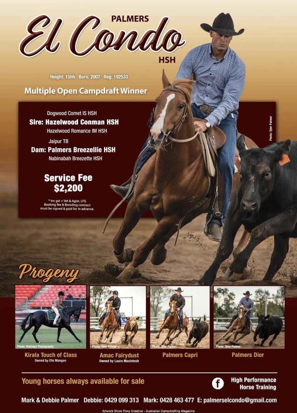 Photo inspiration: Fresh Look at High Performance Horse Training Palmers El Condo