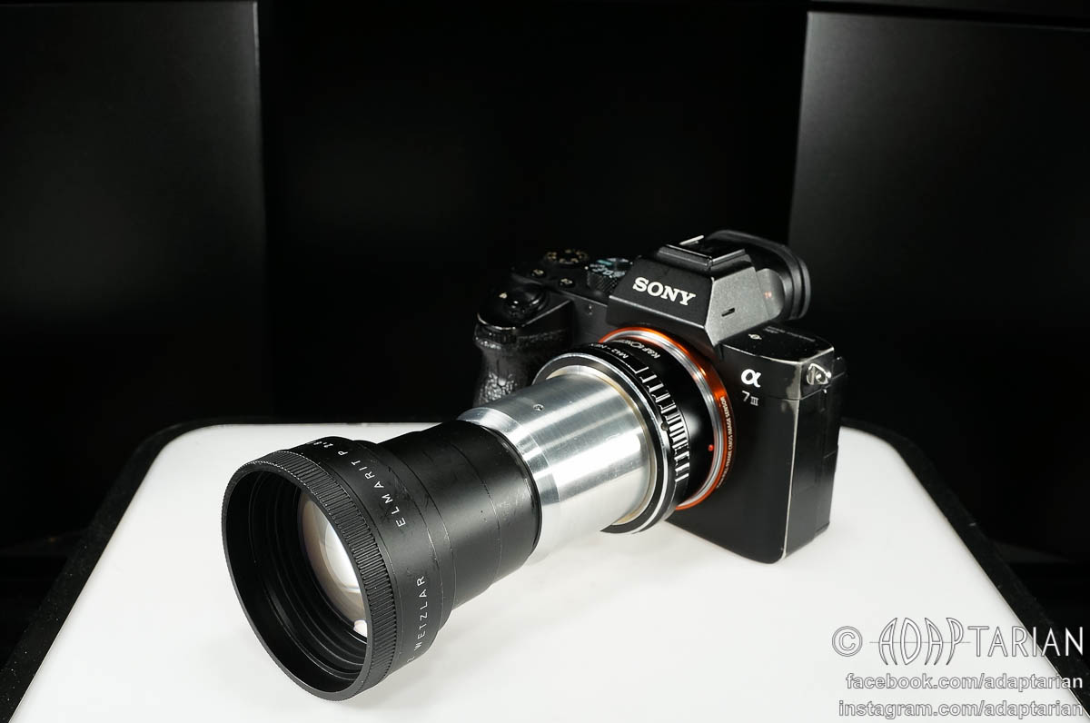 Adapted Leitz Elmaron 150mm f2.8 lens for bokeh