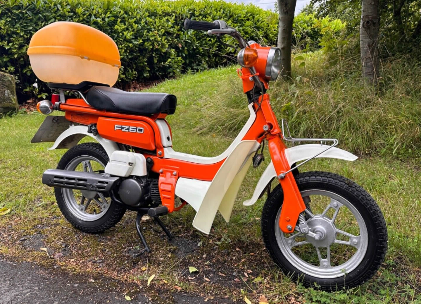 フィジ田
