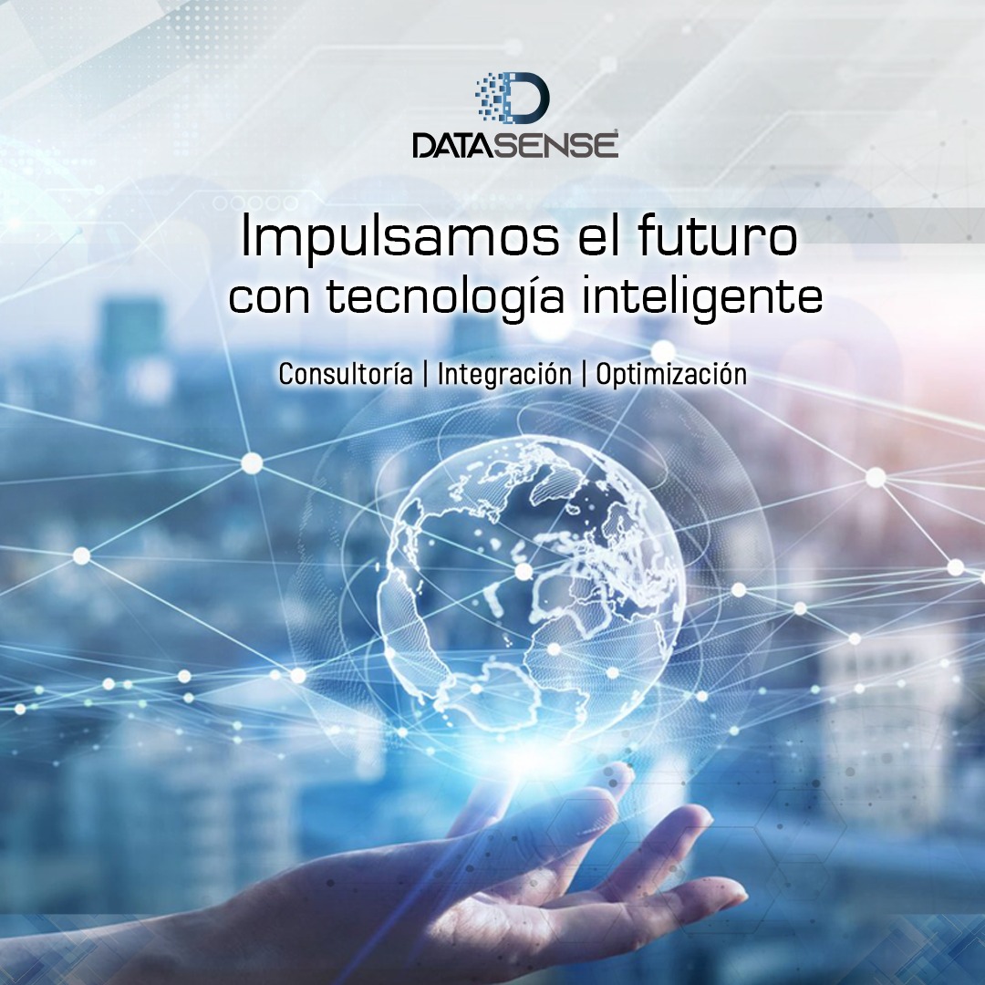 Data Sense Consulting | Estado de México