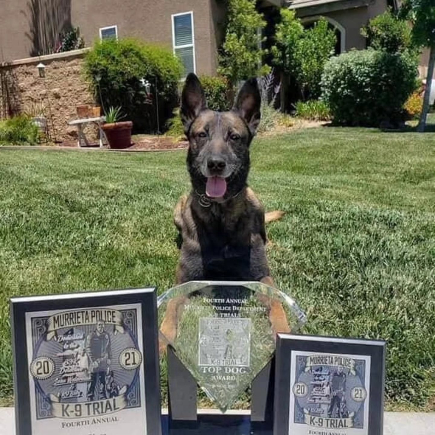 Riverside County Sheriffs' K-9 Team