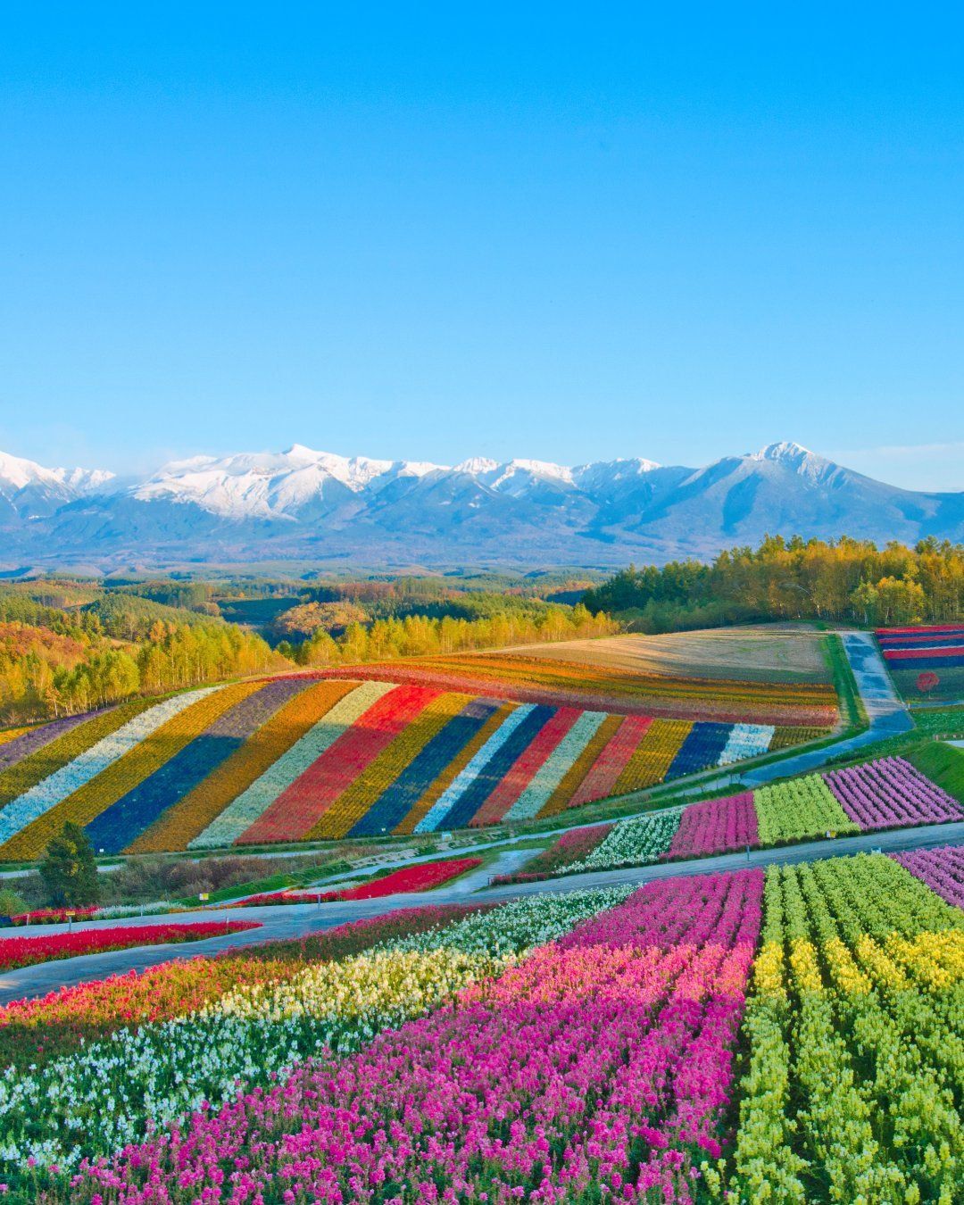 Earth's most colorful place 😍
