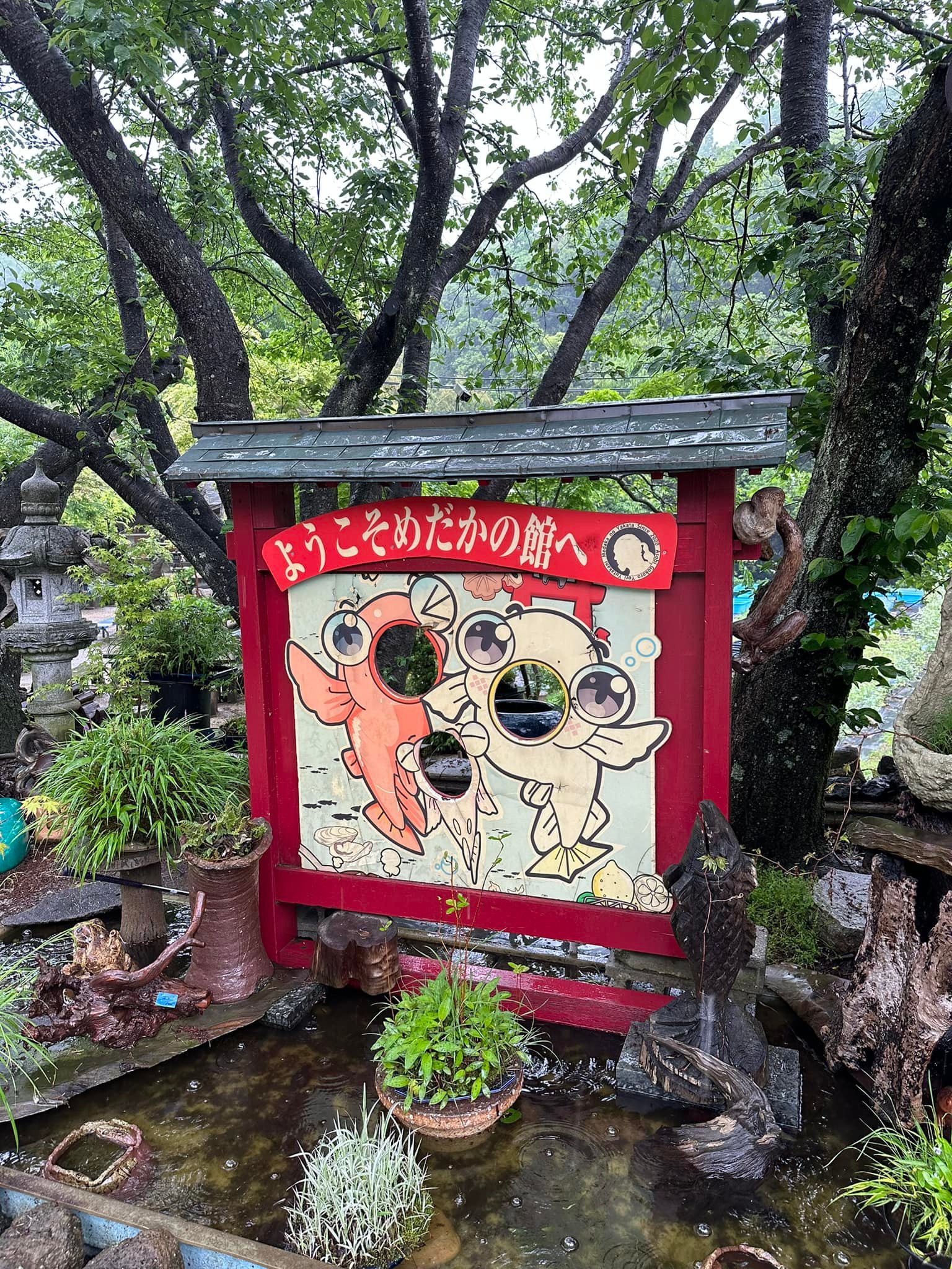 アウトドア めだかおじさん様専用サーカスTCBIG