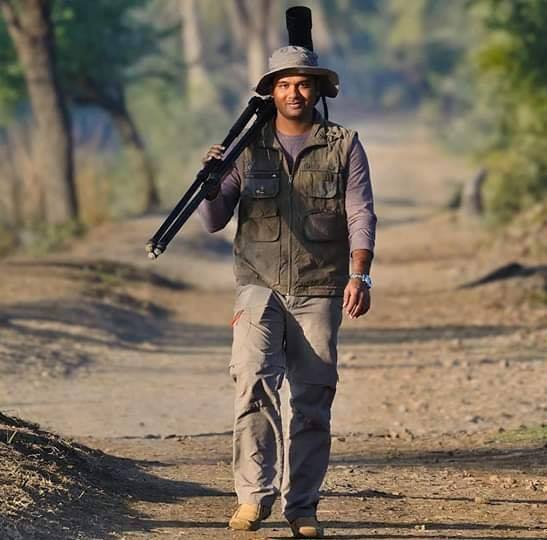 Ankit - The ever beautiful Patdev tigress of Pench while marking her ...