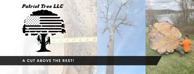 Patriot Tree LLC | Sebewaing MI