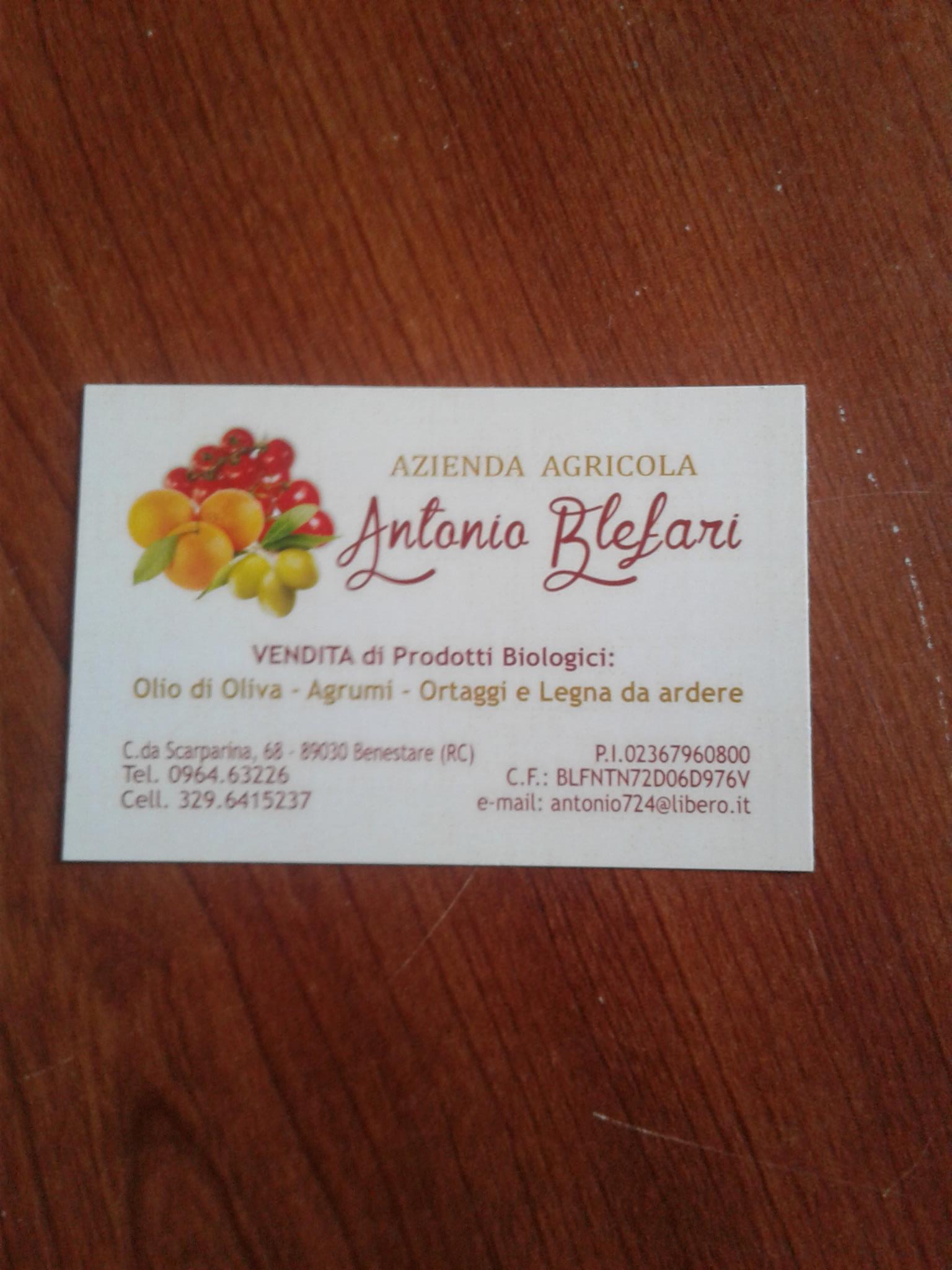 Azienda Agricola... - Azienda Agricola Blefari Antonio