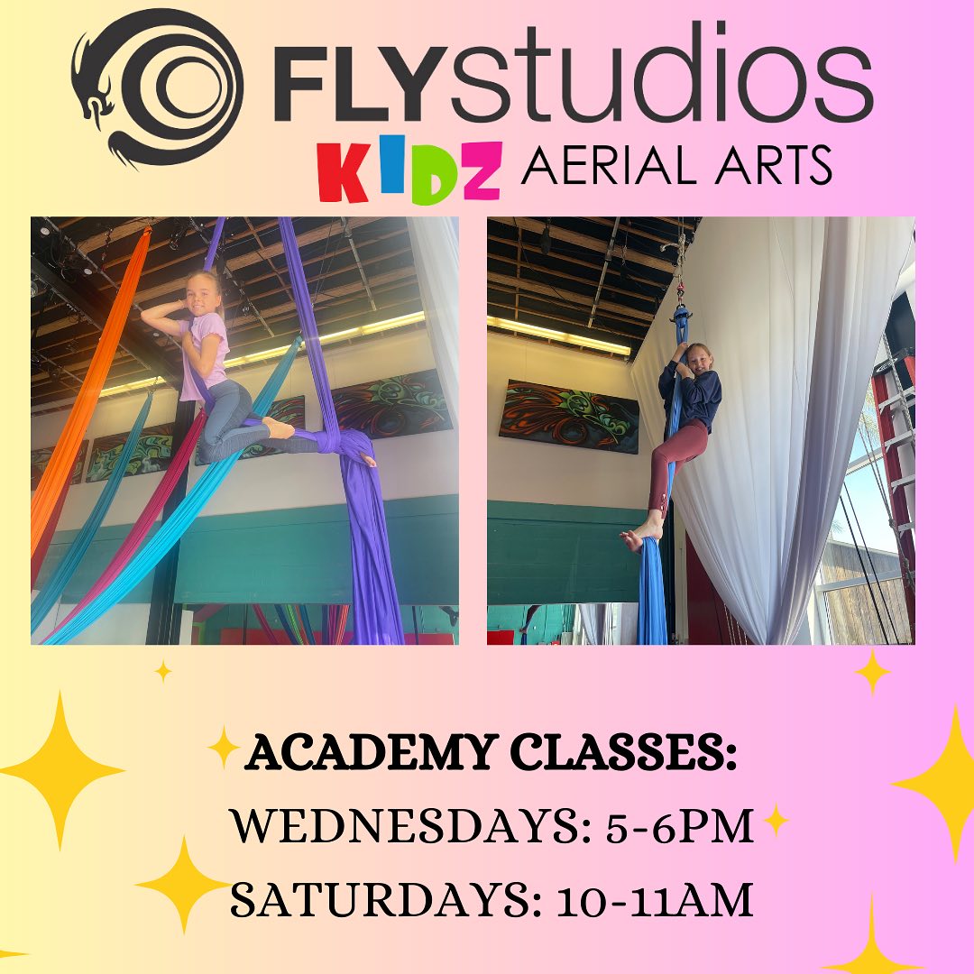 Fly Studios Aerial Arts