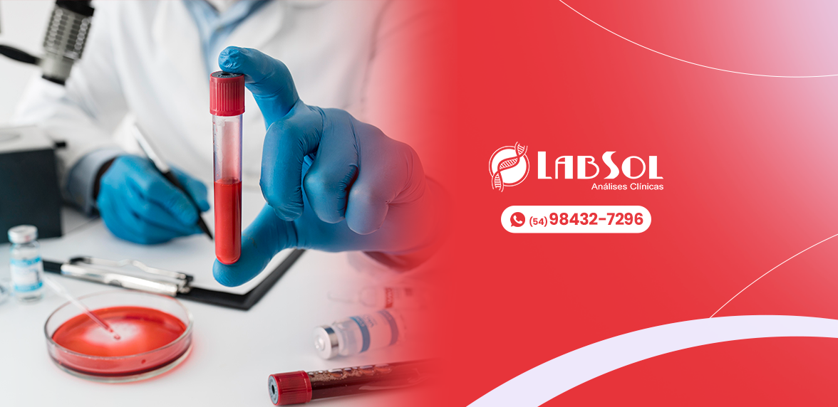 LabSol | Soledade RS