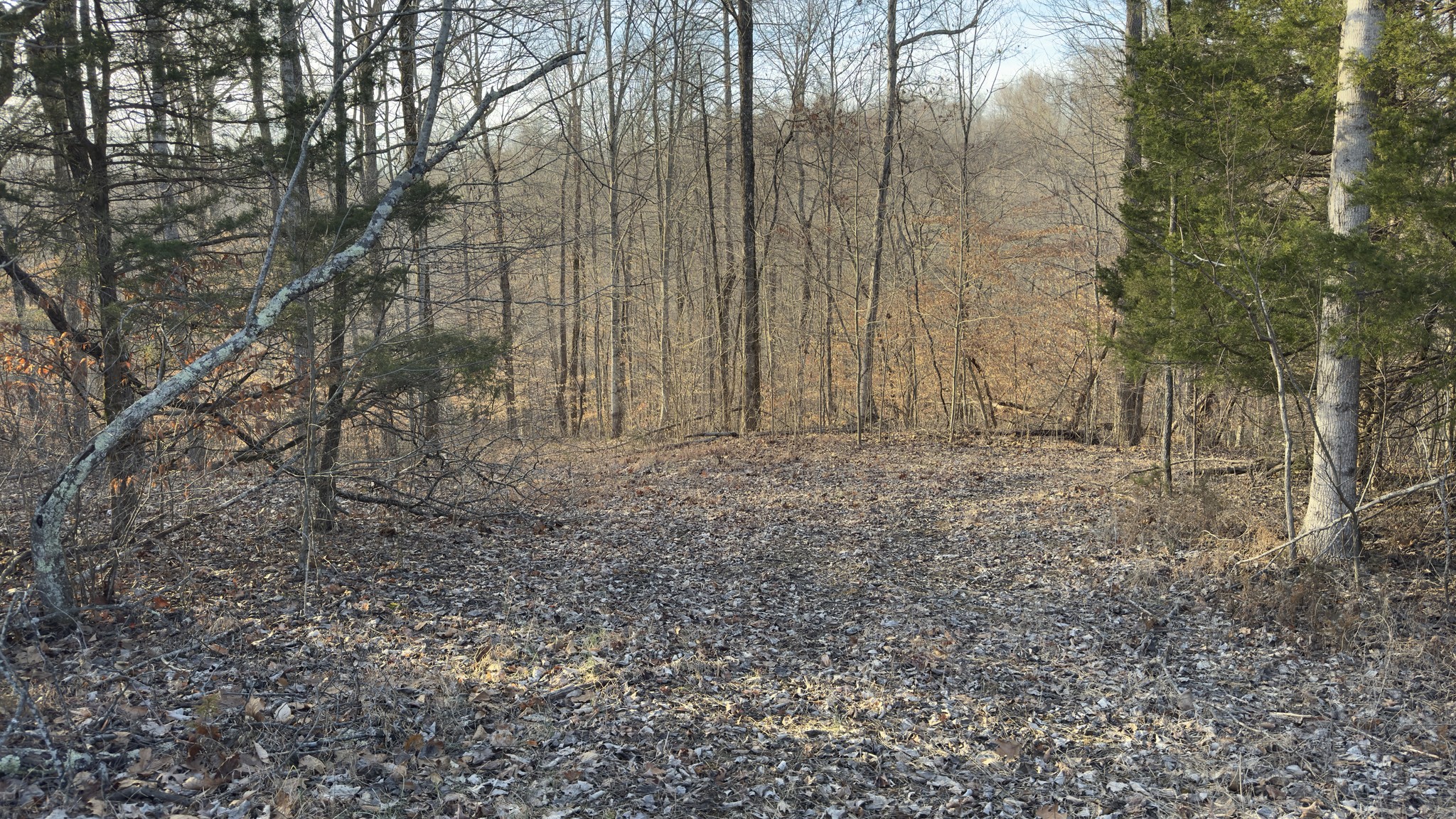 Terry Partin