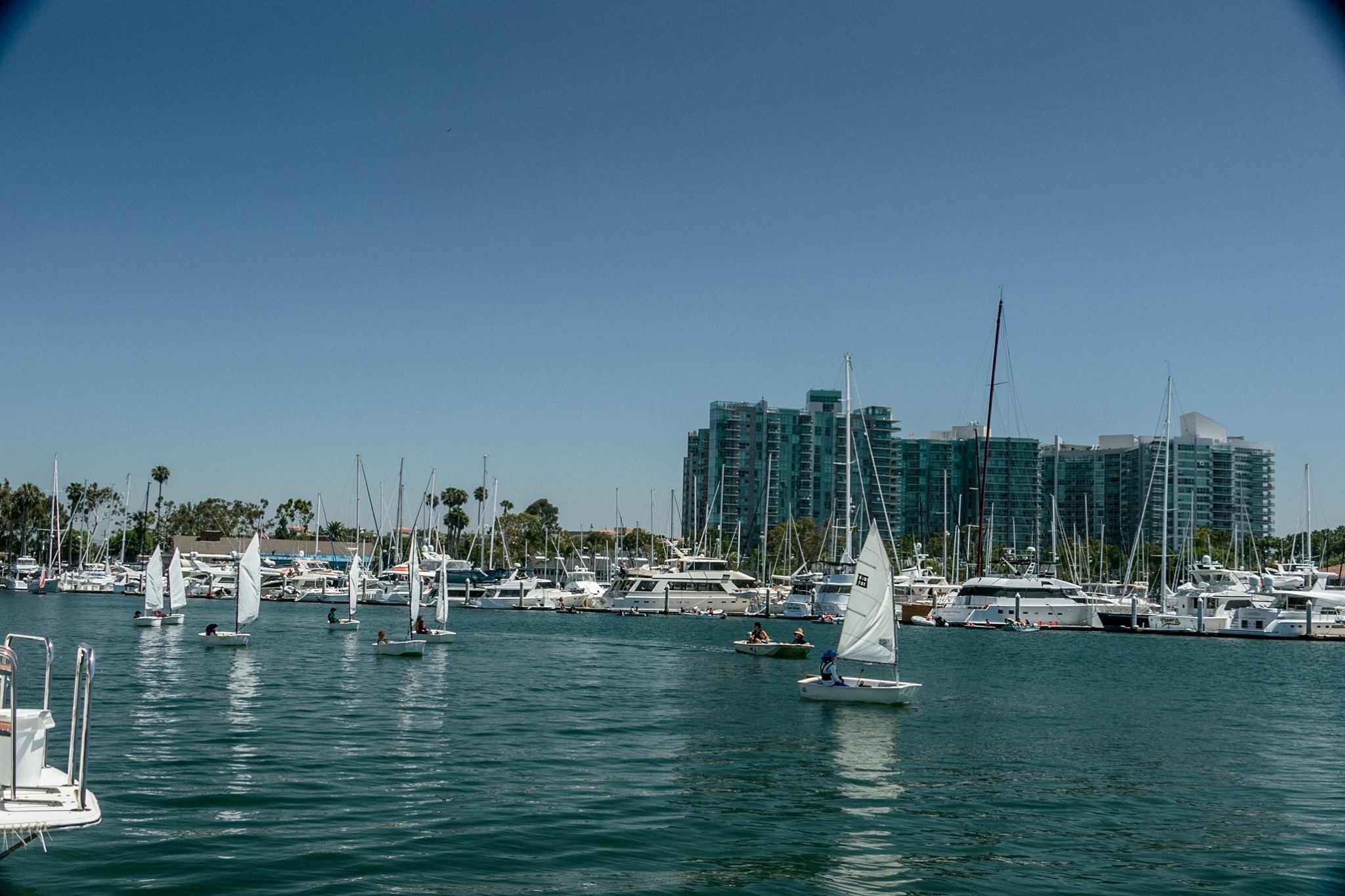 Del Rey Yacht Club... - Del Rey Yacht Club Junior Sailing