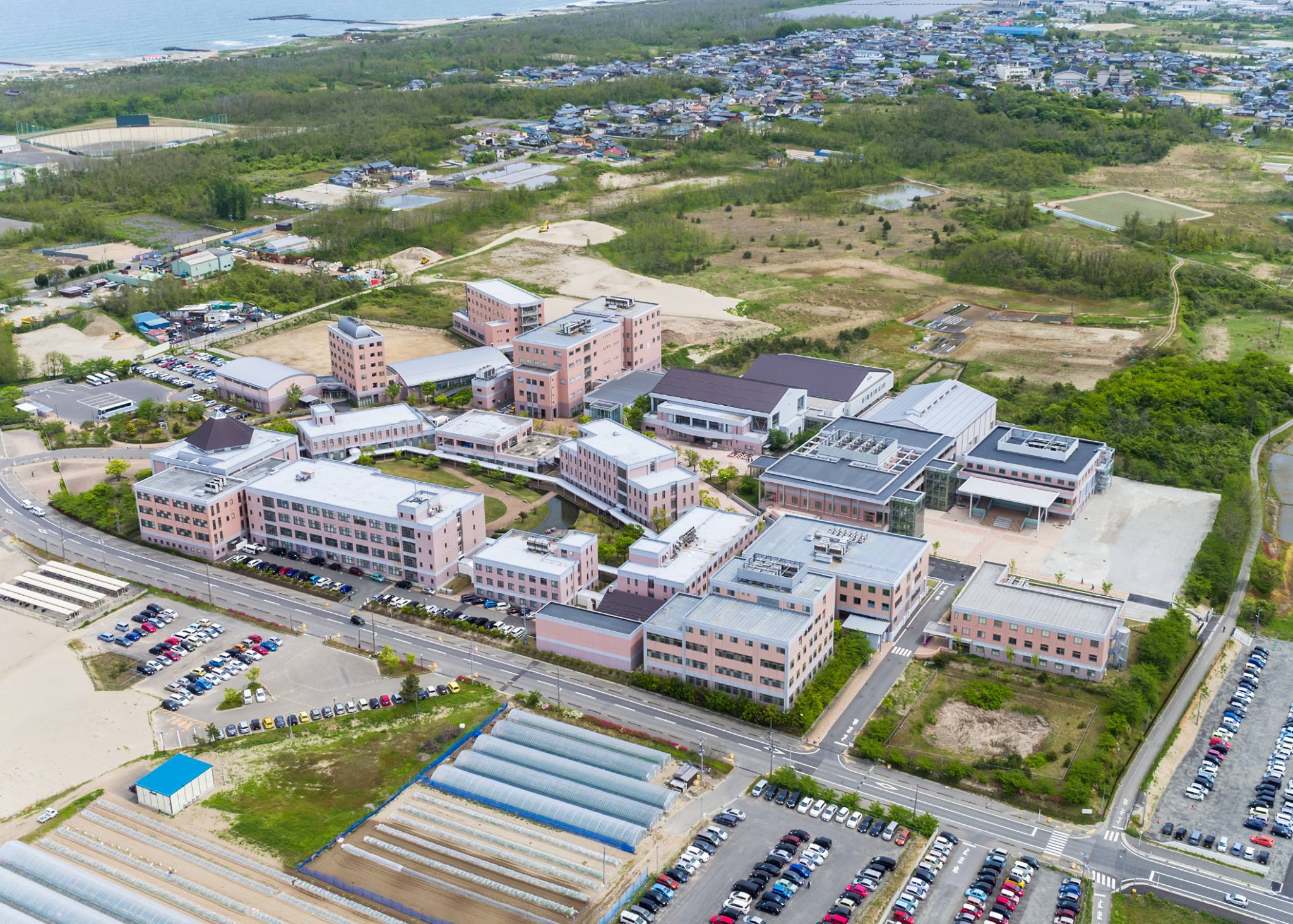 新潟 医療 福祉 大学