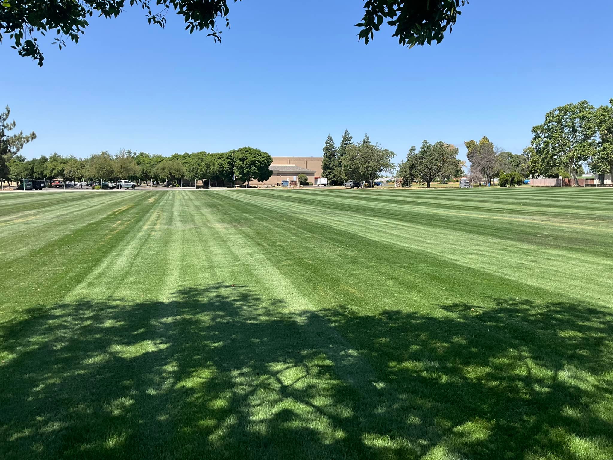 ⚽️🌱 Do you recognize this... - California Turf & Landscaping