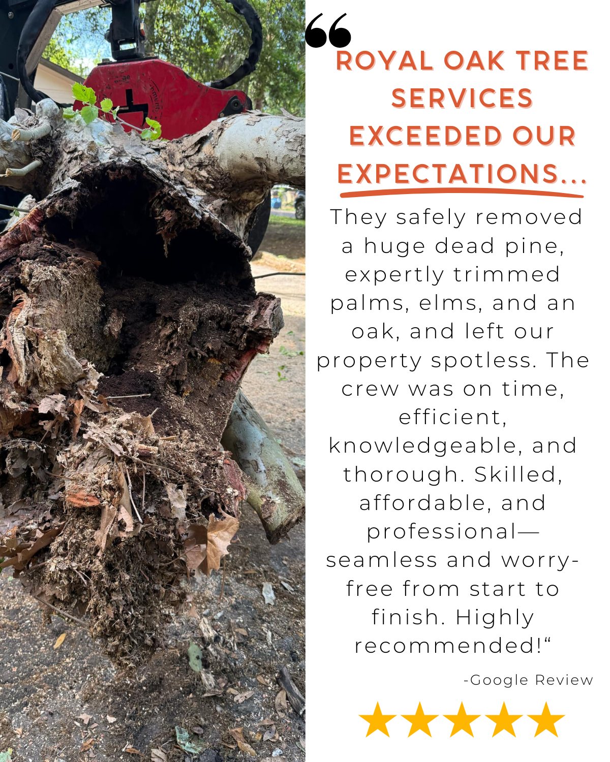 Royal Oak Tree Services | Middleburg FL