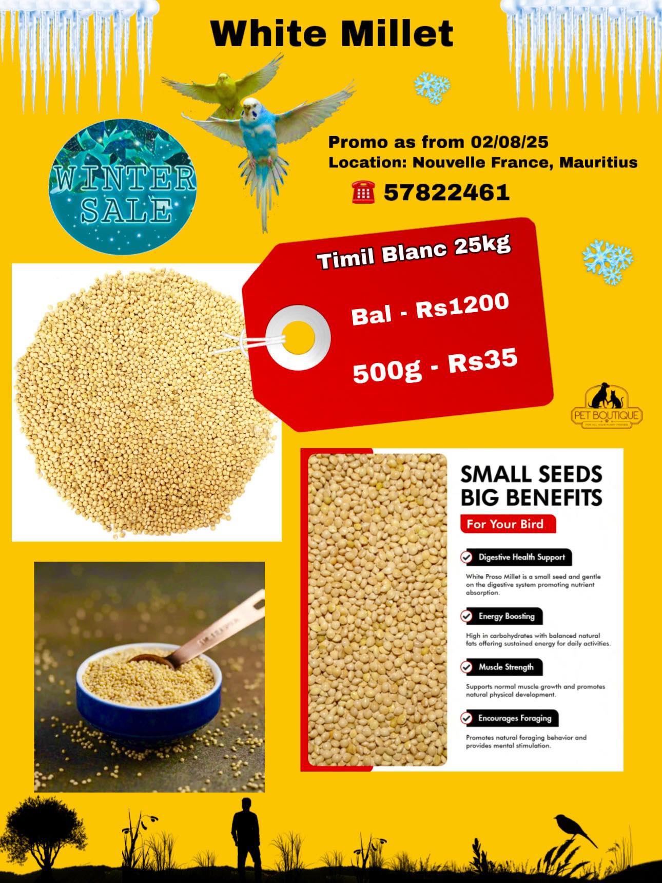 Mauritius birds Breeders | Facebook