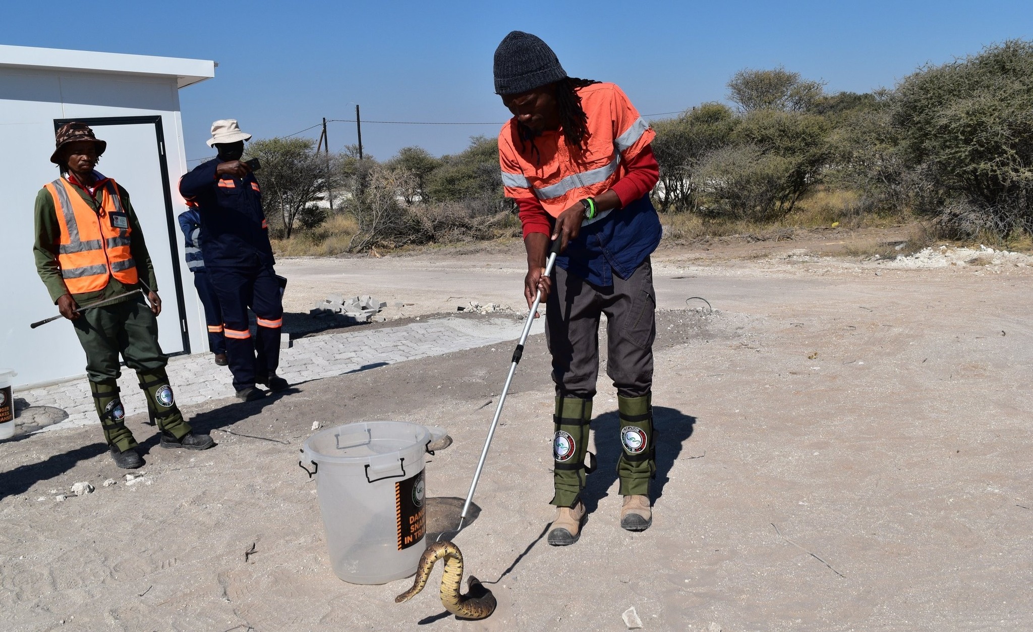 Snake Relocation Gaborone... - Snake Relocation Gaborone