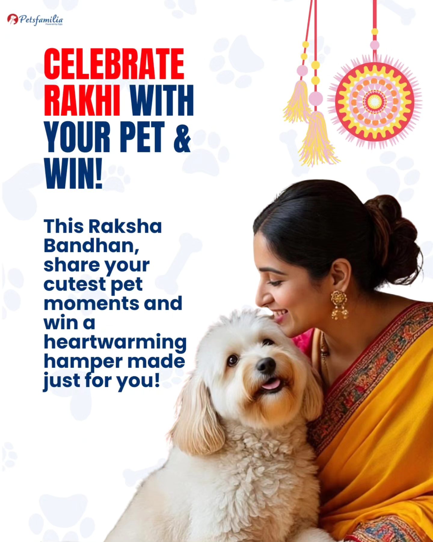 Petsfamilia - Rakhi Contest Alert! 🐾🎉 This Raksha... | Facebook