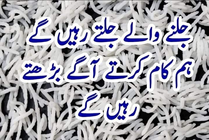 Nasir Rice Comission | Multan
