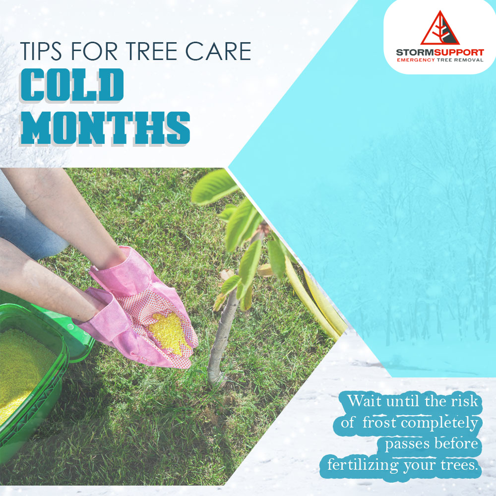 Storm Support Emergency Tree Removal LLC | Rockford MI