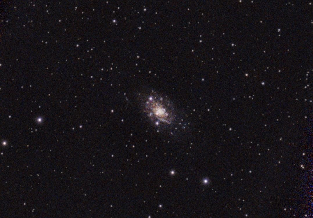01/30/2025 Central Florida, Seestar S50, NGC 2403, a Spiral Galaxy