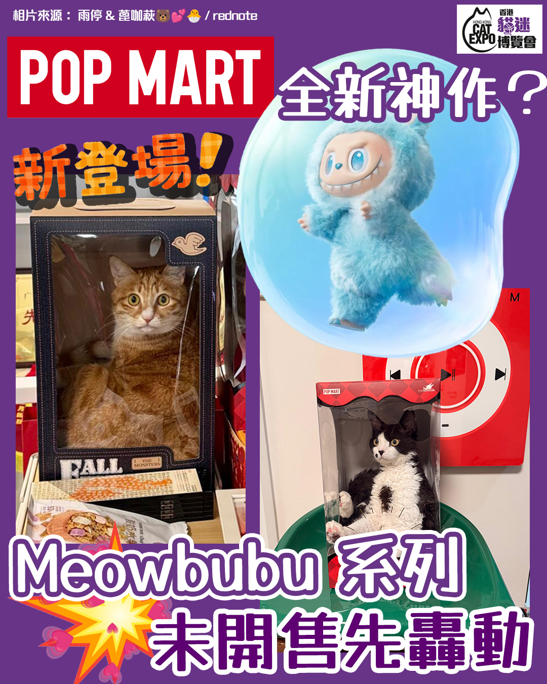 香港貓迷博覽會 Hong Kong Cat Expo