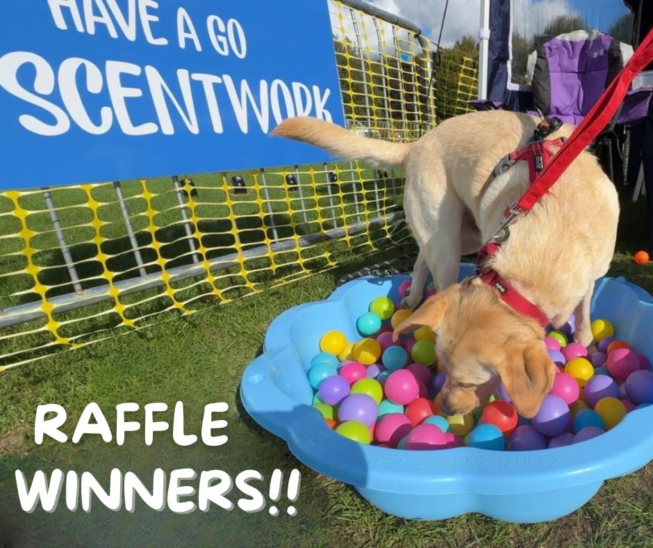 The Dog Squad - 📢 THE RAFFLE PRIZE WINNERS ARE 🥁🥁🥁 Over... | Facebook