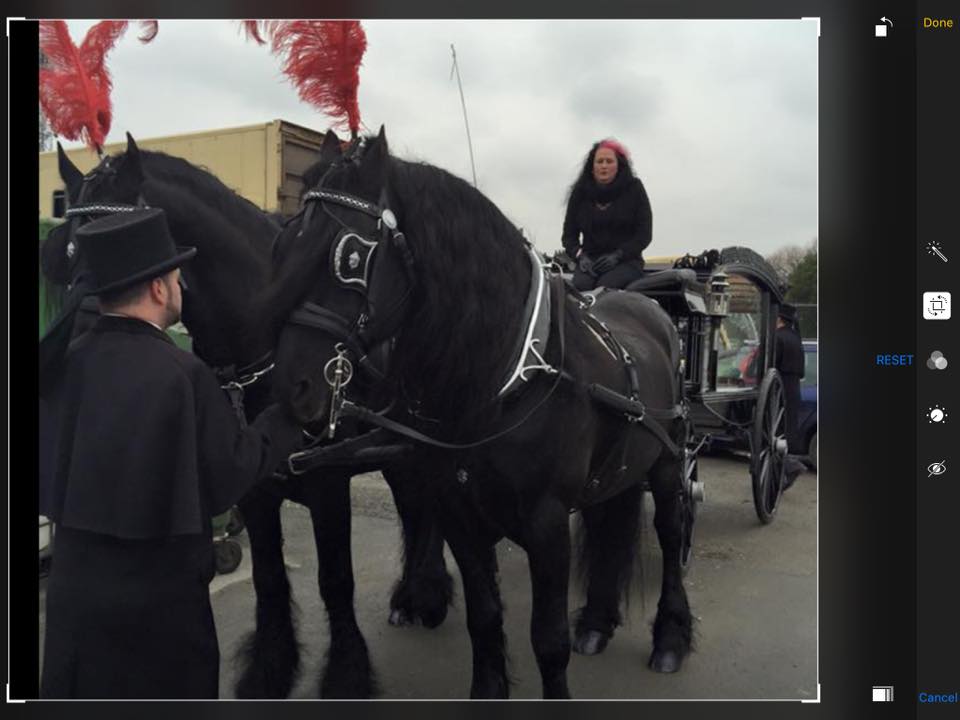 KC Riding... - KC Riding School. Supporting Kc horse rescue