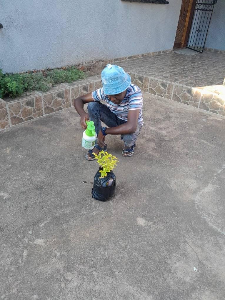 Ntshana Flowers | Lefiso