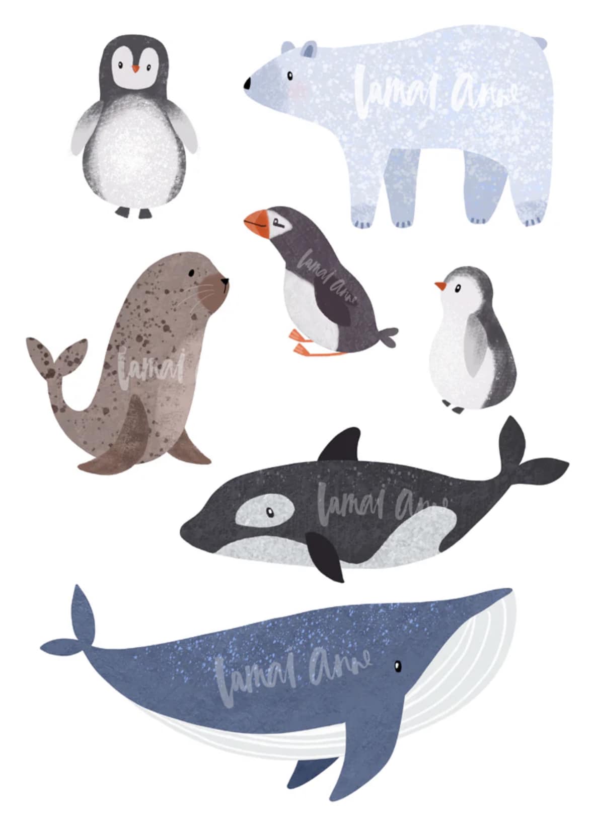 Arctic Animals Clipart set... - Creative Clip Art Collection