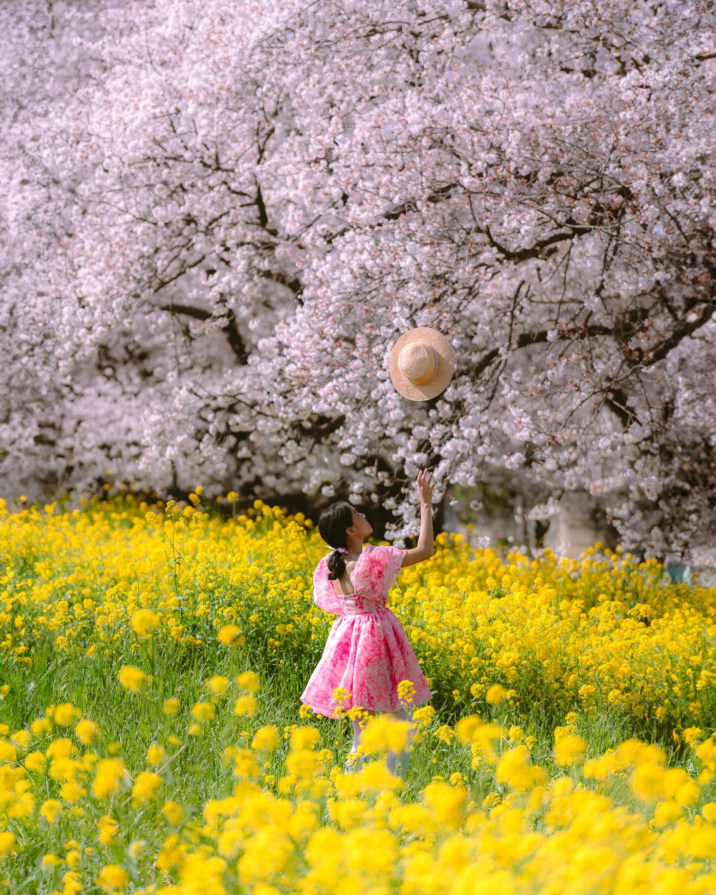 Are you team pink 🩷 or team yellow 💛? Why not both? 😉🌸🌼 You
