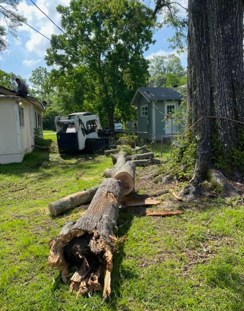 Kwik Tree