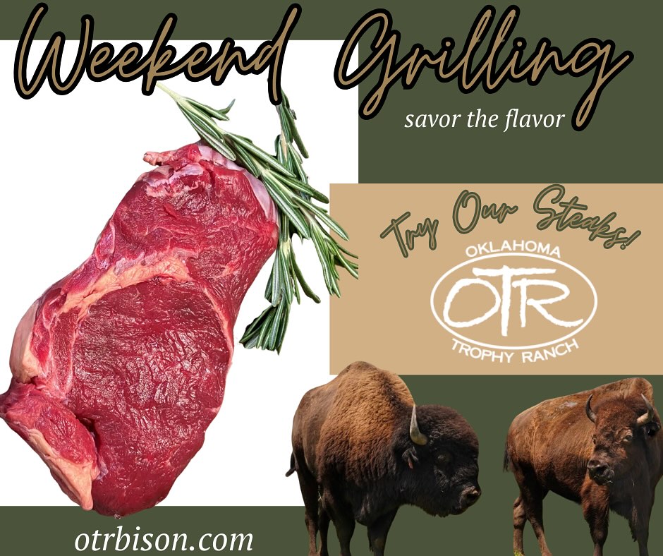 Oklahoma Trophy Ranch - Bison