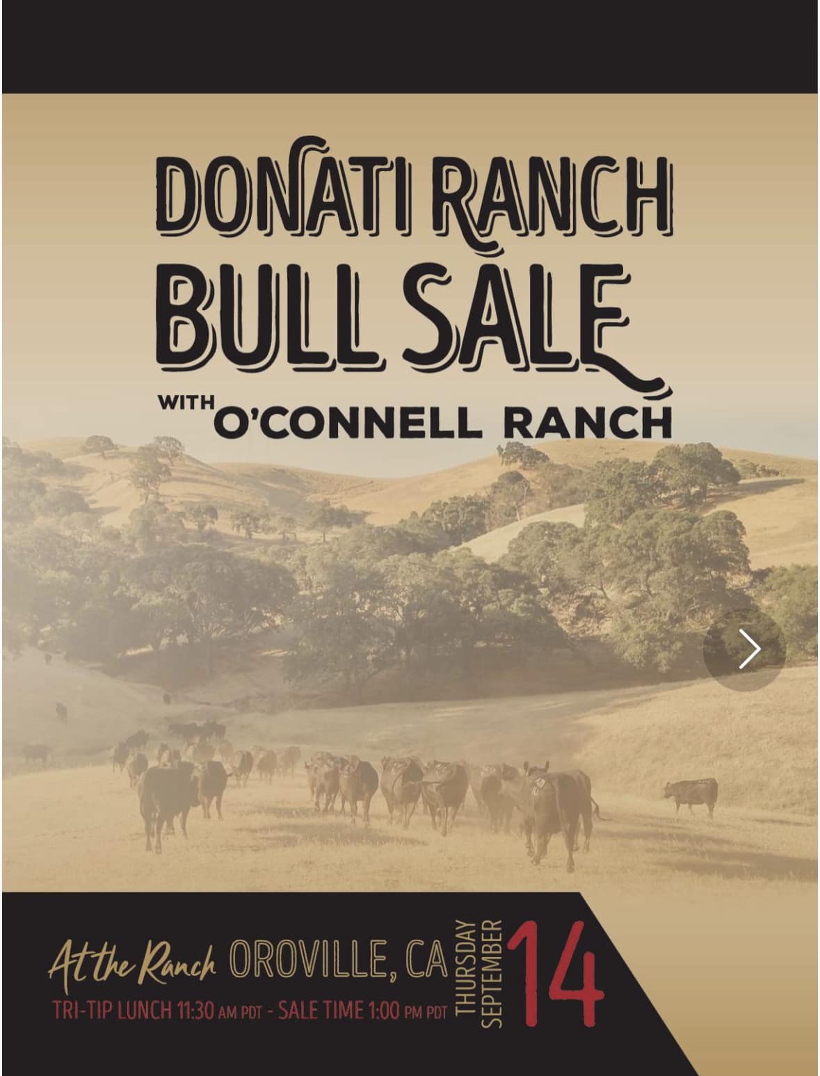 Donati Ranch Angus | Oroville CA