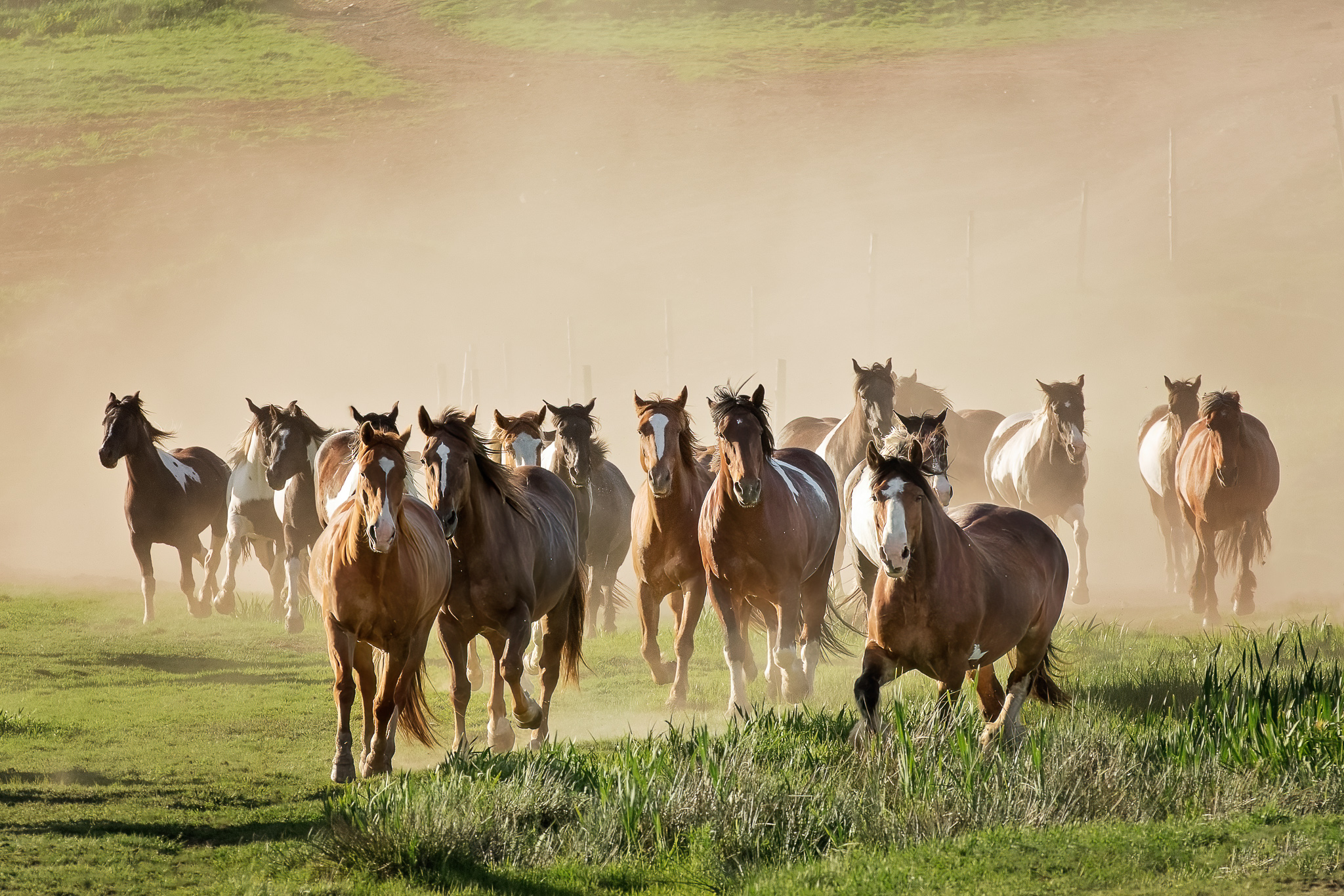 Broadleaf Ranch