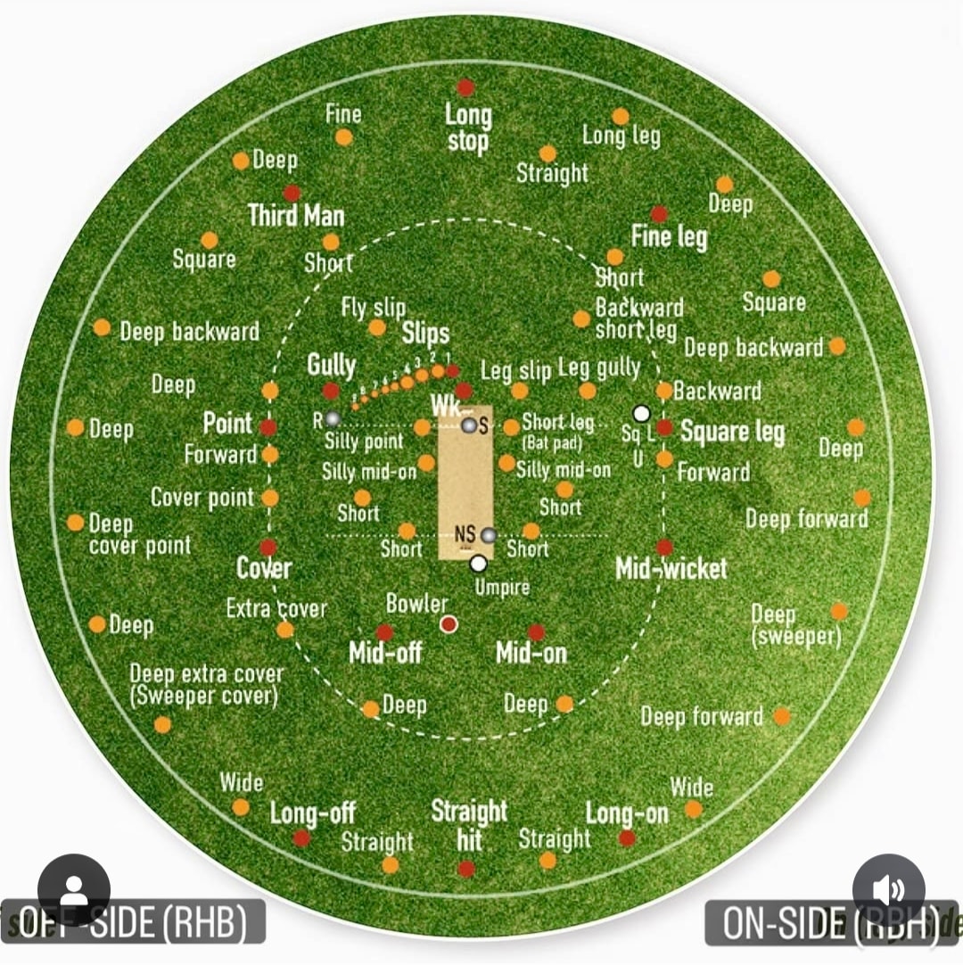 cricket_training12 - Cricket Ground and Fielding Position Proper Names ...
