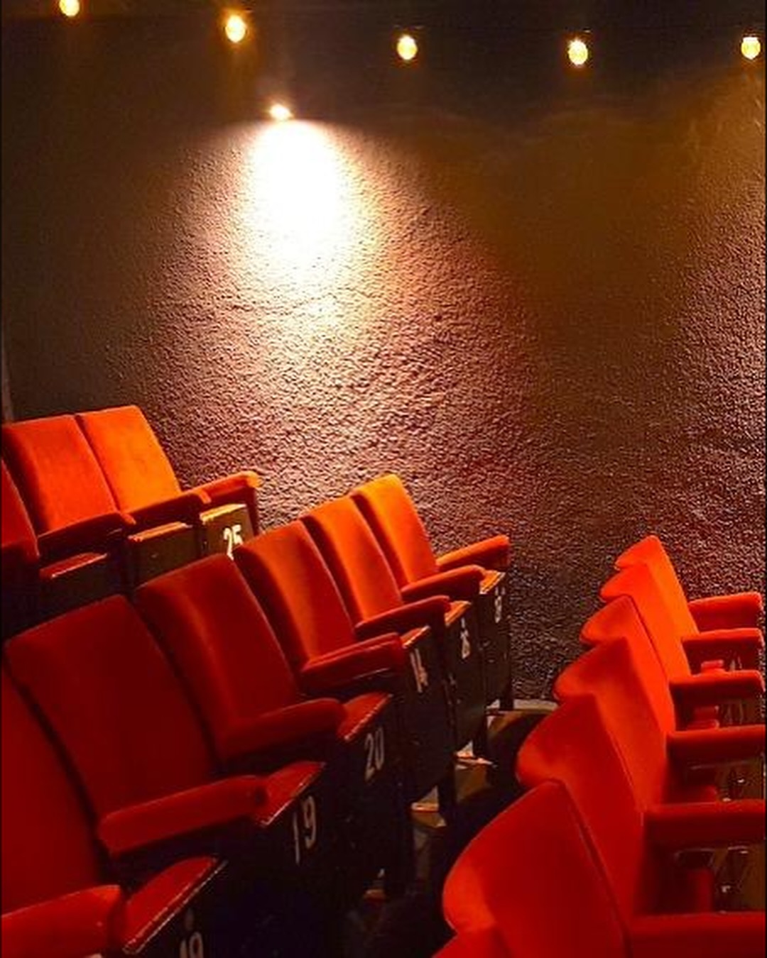 SOLAX Film Club | Dublin