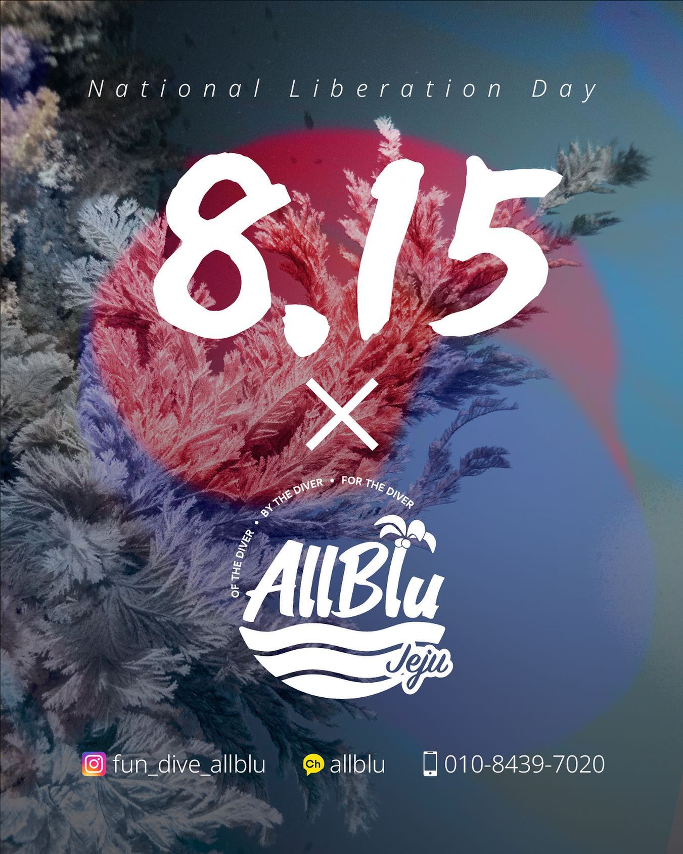 올블루 - 광복절에도 올블루와 함께🇰🇷 Coming soon😉 - kakao ch 👉 allblu 연락처...