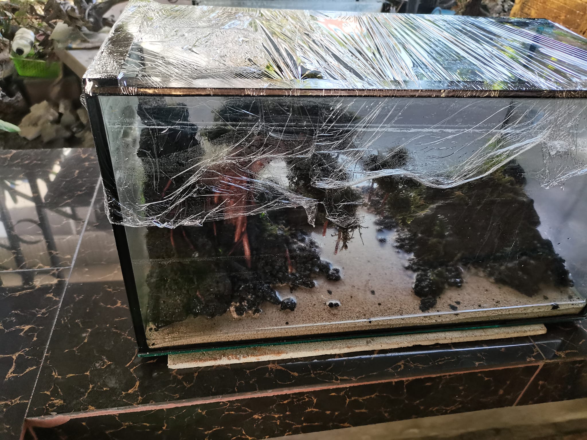 Nature in a Box | Iloilo City