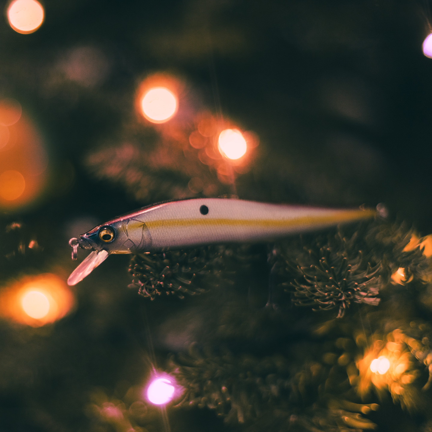 💥 Just in-time for Christmas 🎄 The limited edition special color